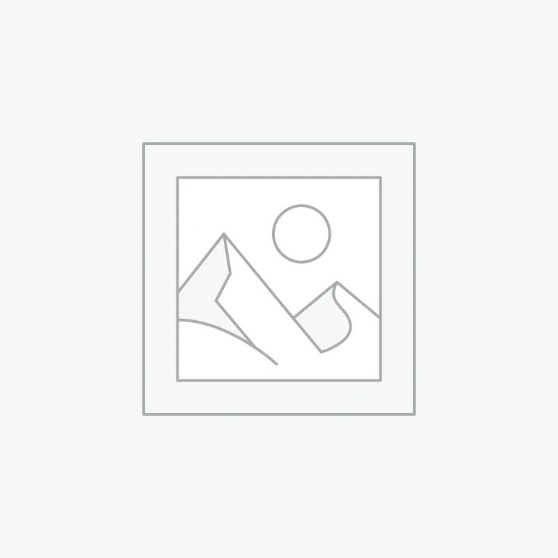Architectural Design - Branching Visual Evolution Awaiting product image